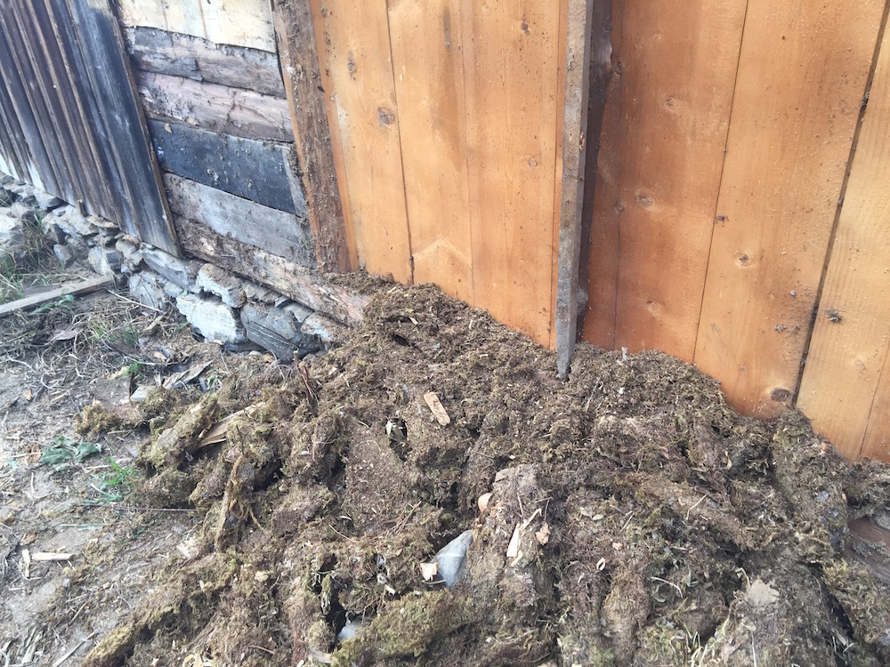 old-moss-insulation